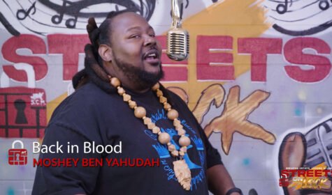 Moshey - Back in Blood